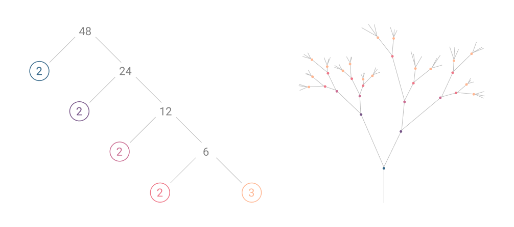 Factor tree of 48